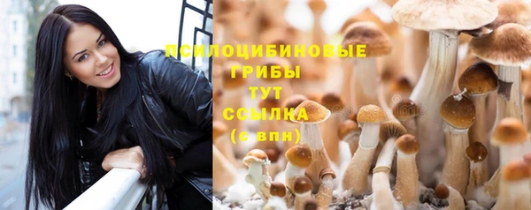 крисы Арсеньев