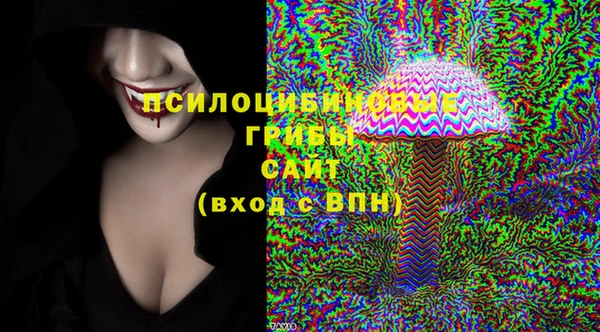 СК Аркадак