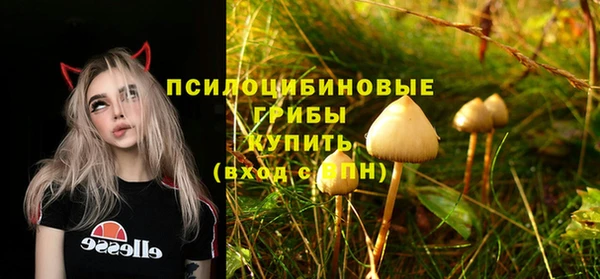 ALPHA PVP Армянск
