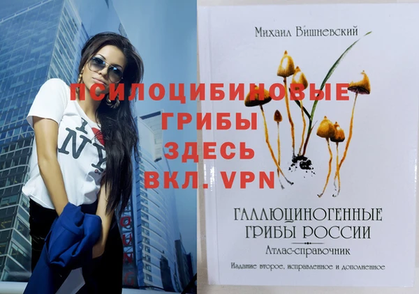 крисы Арсеньев