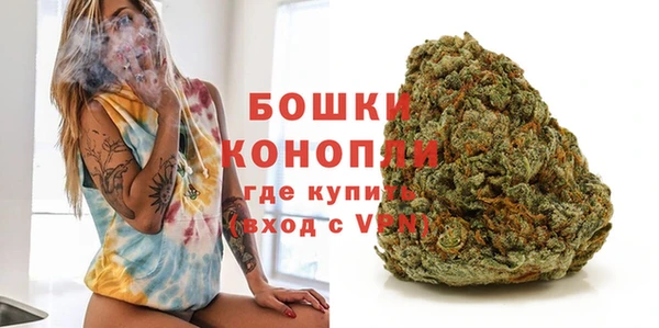 СК Аркадак