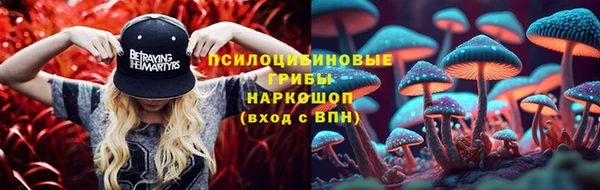 крисы Арсеньев