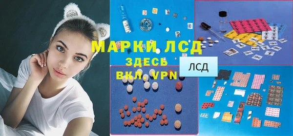 крисы Арсеньев