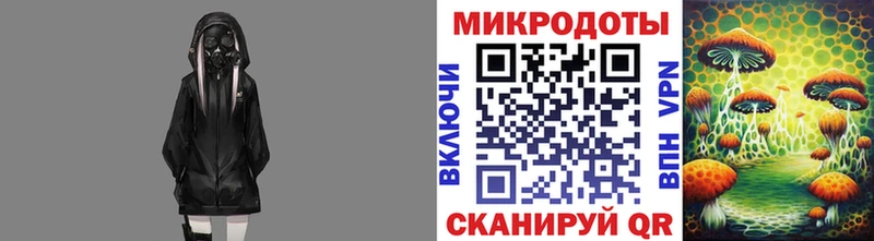 Псилоцибиновые грибы GOLDEN TEACHER  наркотики  мега сайт  Тюкалинск 